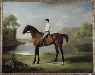 Markisen av Rockinghams Scrub, med John Singleton i sadeln, 1762